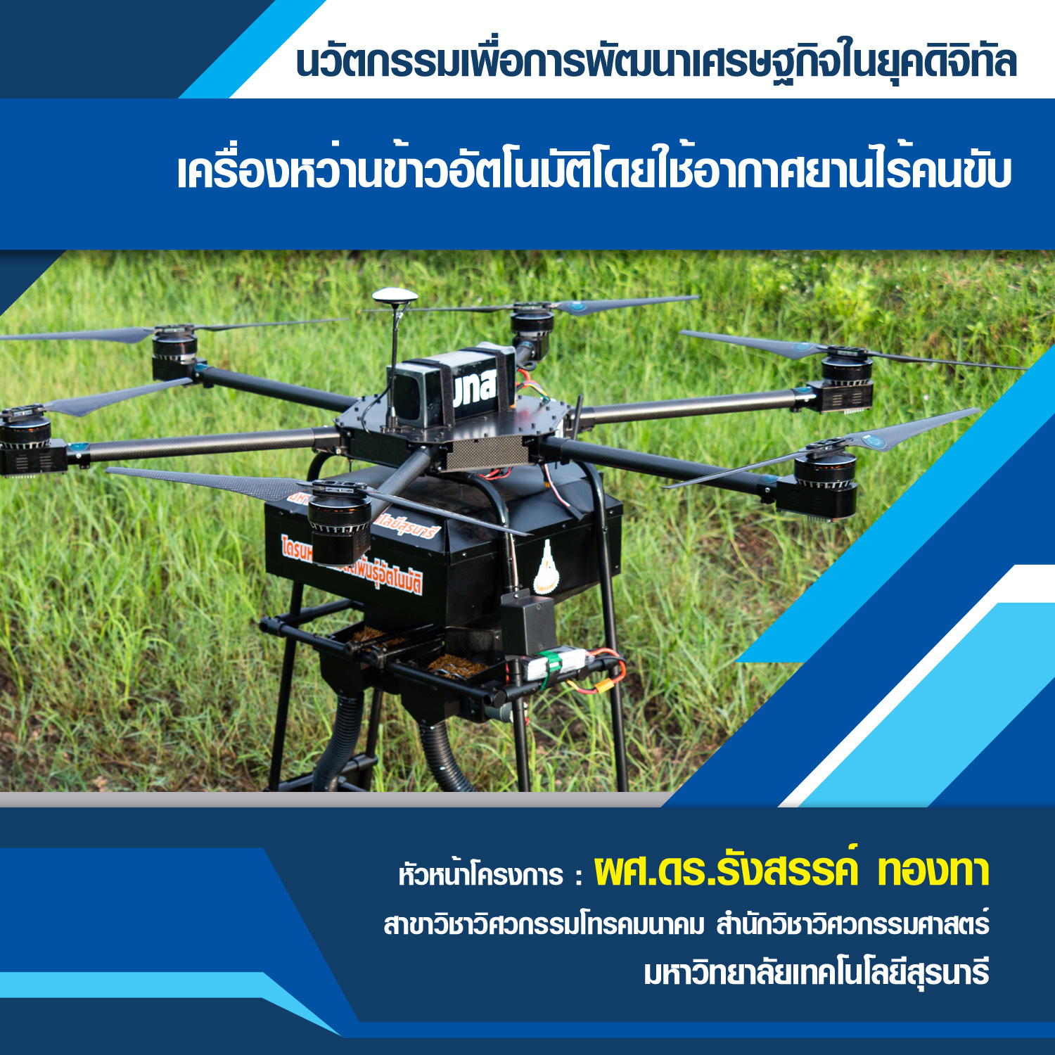 My Image 26